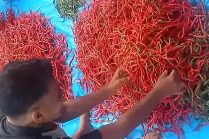 Harga Cabai Merah Tembus Rp 52 Ribu per Kilogram di Kota Jambi, Warga dan Pedagang Keluhkan Minimnya Perhatian Pemerintah
