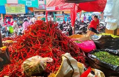 Pasar Jambi Memanas! Cabe Rawit Merah Melonjak Hingga Rp 65.000, Ayam Malah Turun Tajam