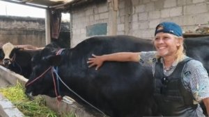 Prabowo Pilih Sapi Jumbo 1,15 Ton dari Peternak Tangerang untuk Kurban