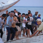 “Annyorong Lopi” Buka Festival Phinisi 2025 di Bulukumba, Simbol Semangat Maritim Bugis-Makassar