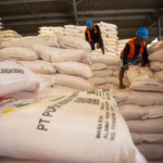 Harga Pupuk Subsidi Turun 20% Mulai Hari Ini