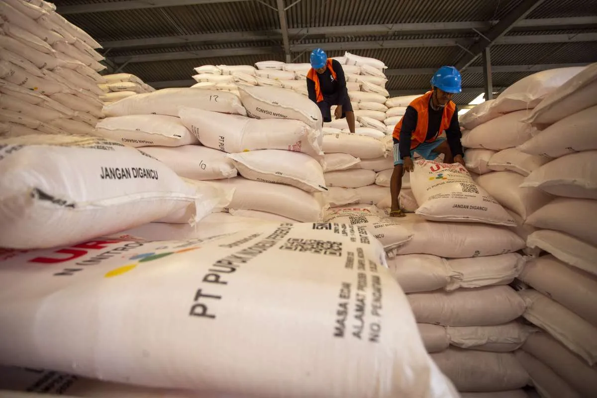 Harga Pupuk Subsidi Turun 20% Mulai Hari Ini