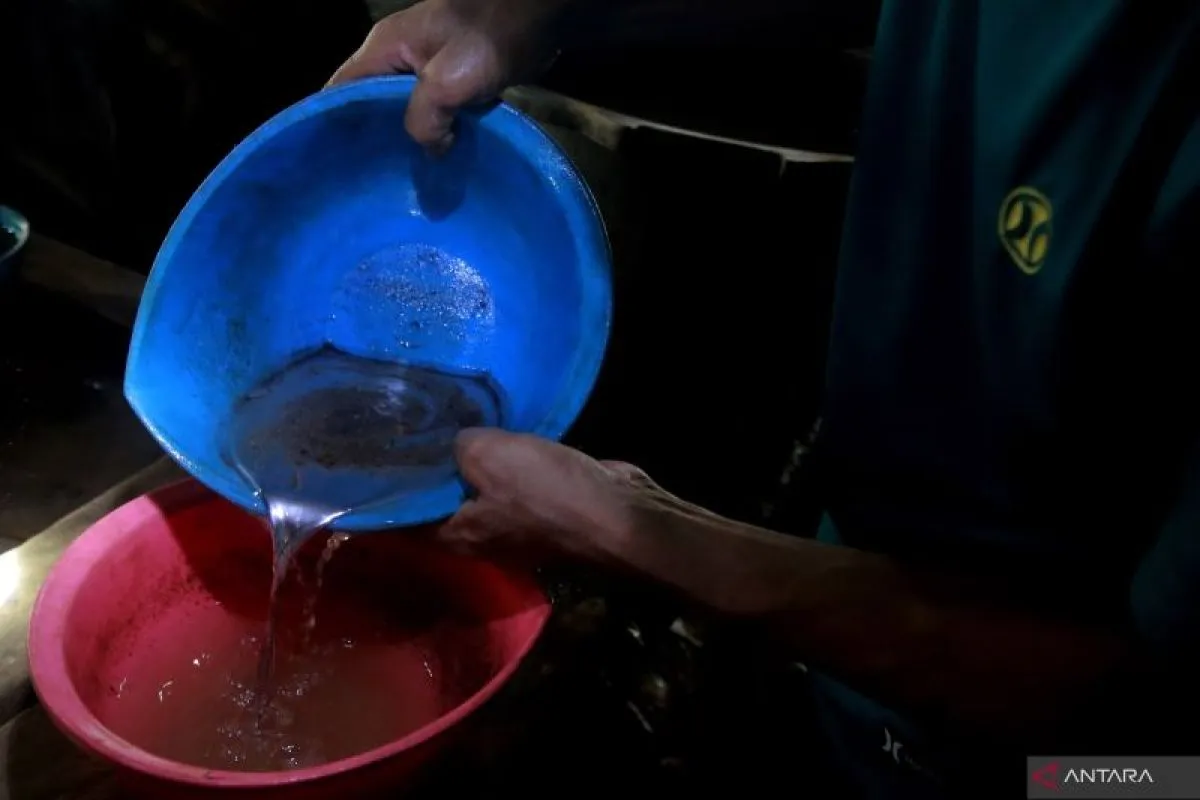 Harga Perak Akan Mengalami Kenaikan Seiring Meningkatnya Permintaan Mobil Listrik