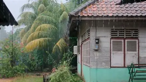 Hujan Ringan Guyur Sebagian Besar Wilayah Jambi Hari Ini
