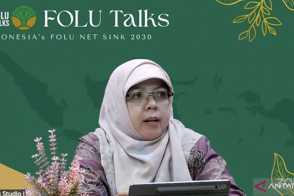 Kemenhut Fokus Pulihkan Hulu DAS Anai Sumatera Barat untuk Cegah Banjir Bandang Terulang
