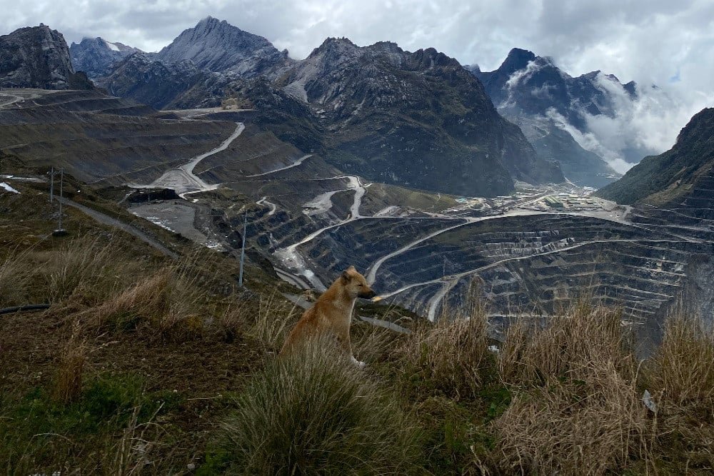 Freeport Lepas 12% Saham untuk Indonesia, Ajukan Perpanjangan Kontrak Tambang Kuartal IV 2025