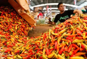 Pasar Jambi Memanas! Cabe Rawit Merah Melonjak Hingga Rp 65.000, Ayam Malah Turun Tajam