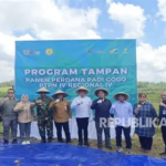PTPN IV PalmCo Dorong Ketahanan Pangan dengan Pola Tumpangsari di Aceh dan Jambi