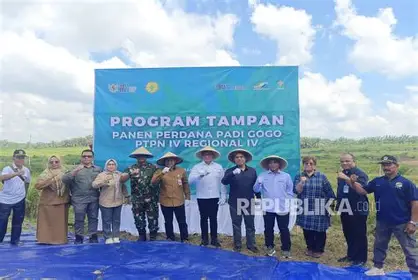 PTPN IV PalmCo Dorong Ketahanan Pangan dengan Pola Tumpangsari di Aceh dan Jambi