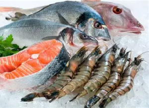 KKP Bangun Laboratorium 2026 untuk Pastikan Produk Laut Indonesia Bebas Radioaktif