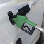 Bobibos Diapresiasi, tapi Butuh Uji dan Riset Mendalam Sebelum Jadi BBM Alternatif