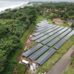 Pertamina NRE Terbitkan 35.475 Ton Kredit Karbon Baru, 90% Langsung Terserap Pasar