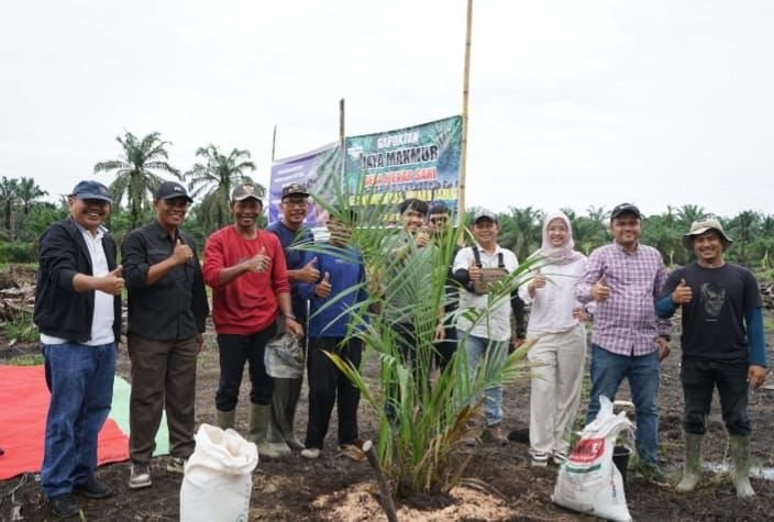 Dukung Asta Cita, PTPN IV Regional 4 Mulai Tanam Perdana Sawit Program PSR