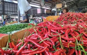 Harga Cabe Merah di Pasar Angso Duo Tembus Rp 100.000 per Kilogram