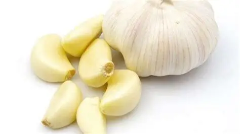 5 Makanan Efektif Perbaiki Fungsi Ginjal Secara Alami