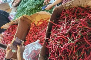 Harga Sembako di Pasar Kasang Stabil, Harga Cabai Melonjak Tajam