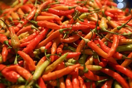 Harga Cabe Rawit Merah di Pasar Talang Banjar  Turun 15,38%  Menjadi  Rp 55.000 per Kilogram