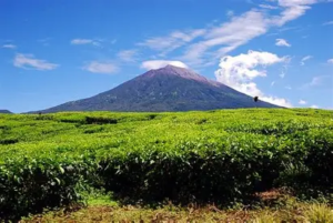 Cuaca Jambi Hari Ini Didominasi Hujan Ringan, Kerinci dan Sungai Penuh Tetap Sejuk 17 Derajat