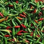 Harga Sembako di Jambi Hari Ini Stabil, Cabe Rawit dan Cabe Merah Alami Kenaikan Tipis