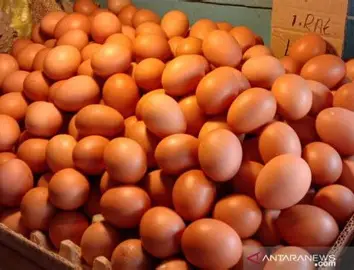 5 Makanan Terbaik yang Cocok Dimakan Bersama Telur, Bikin Nutrisi Makin Maksimal