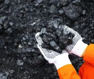 73 Persen Produksi Batu Bara Indonesia Berkualitas Rendah, Hanya 5 Persen Kalori Tinggi