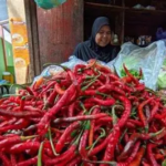 Harga Sembako di Jambi Stabil, Cabai Naik Tajam Awal November 2025