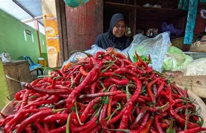 Harga Sembako di Jambi Stabil, Cabai Naik Tajam Awal November 2025