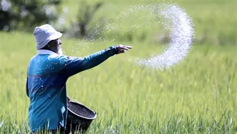 Serapan Pupuk Subsidi Naik Tajam Setelah HET Turun 20 Persen