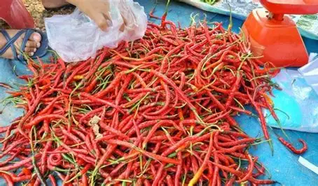 Harga Cabe Merah Kecil di Pasar Talang Banjar Capai Rp 100.000 per Kilogram