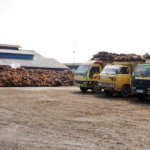 pabrik kelapa sawit
