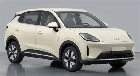 Segera Hadir Binguo S, Varian Wuling Ini Bisa Tembus 500 Km