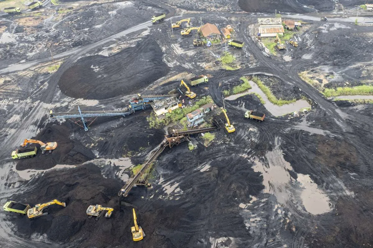 Penerimaan Pajak Minerba Turun Tajam, Baru Terkumpul Rp 43,3 Triliun hingga November 2025