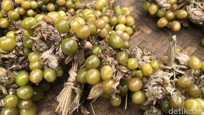 Buah Ceplukan Langka Diburu di Pasar Beringharjo Jogja, Ini Khasiat dan Harganya