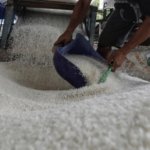 Indonesia Hentikan Impor Beras Industri Mulai 2026