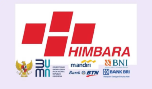 Ternyata Hal Ini yang Membuat Indef Ingatkan Danantara