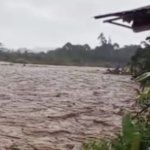27.000 Ha Sawah di Sumatra Terendam Banjir, 385 Ha Puso