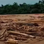 KLH: Ada Dugaan Keterlibatan 8 Perusahaan Perusak lingkungan di Batang Toru, Sumatra Utara