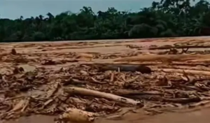 KLH: Ada Dugaan Keterlibatan 8 Perusahaan Perusak lingkungan di Batang Toru, Sumatra Utara