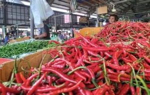 Harga Cabe di Pasar Angso Duo Hari Ini Turun 23,08% Jadi Rp 50.000 per Kilogram