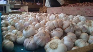 Harga Sembako di Kota Jambi 18 Desember 2025: Cabai Turun, Bawang Putih Naik Tipis