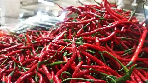 Harga Cabe Jelang Pergantian Tahun Naik Hingga 14,29 Persen