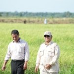 Prabowo Umumkan Indonesia Swasembada Beras, Cadangan Bulog Tertinggi Sepanjang Sejarah