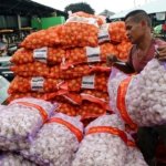 Bawang Putih Impor Segera Masuk, Pemerintah Pastikan Harga Turun Jelang Ramadan
