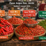 Harga Cabai Naik di Angso Duo, Turun Tajam di Pasar Kasang