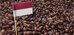 Nasib Kopi Indonesia di Tengah Harga Tak Stabil dan Iklim Ekstrem