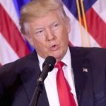 Ekonom Peringatkan Dampak Kebijakan Trump: Risiko Geopolitik Global Bisa Ditiru China