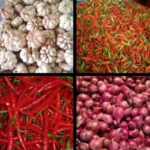 Harga Sembako di Jambi Hari Ini 7 Januari 2026, Cabai Rawit dan Bawang Mulai Turun