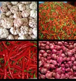 Harga Sembako di Jambi Hari Ini 7 Januari 2026, Cabai Rawit dan Bawang Mulai Turun