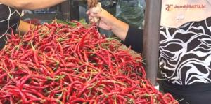 Harga Cabai di Pasar Angso Duo Turun