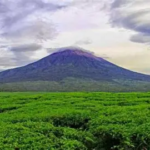 112 Pecatur Ikuti Turnamen Catur Bulanan Pengprov Percasi Jambi di Kerinci